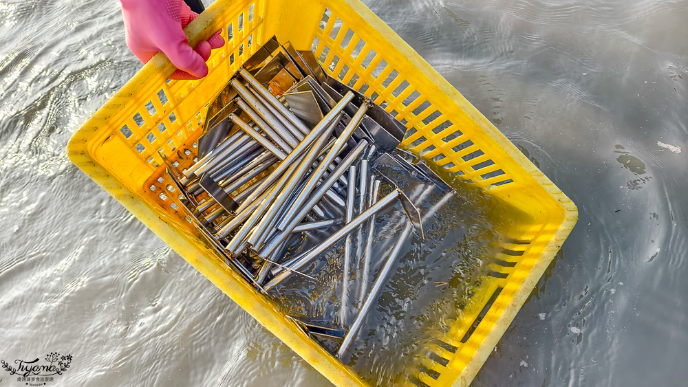 王功挖蛤烤蚵吃到飽！王功丫瑋觀光採蚵車，烤棚大又乾淨，收費大人200．小孩100．幼童免費，最超值的玩水活動 @緹雅瑪 美食旅遊趣