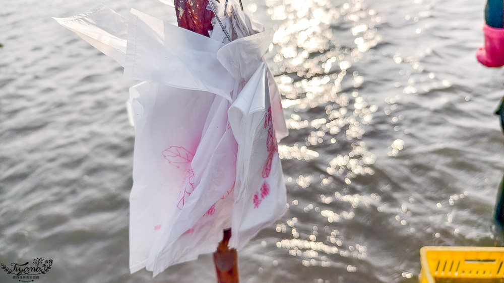 王功挖蛤烤蚵吃到飽！王功丫瑋觀光採蚵車，烤棚大又乾淨，收費大人200．小孩100．幼童免費，最超值的玩水活動 @緹雅瑪 美食旅遊趣