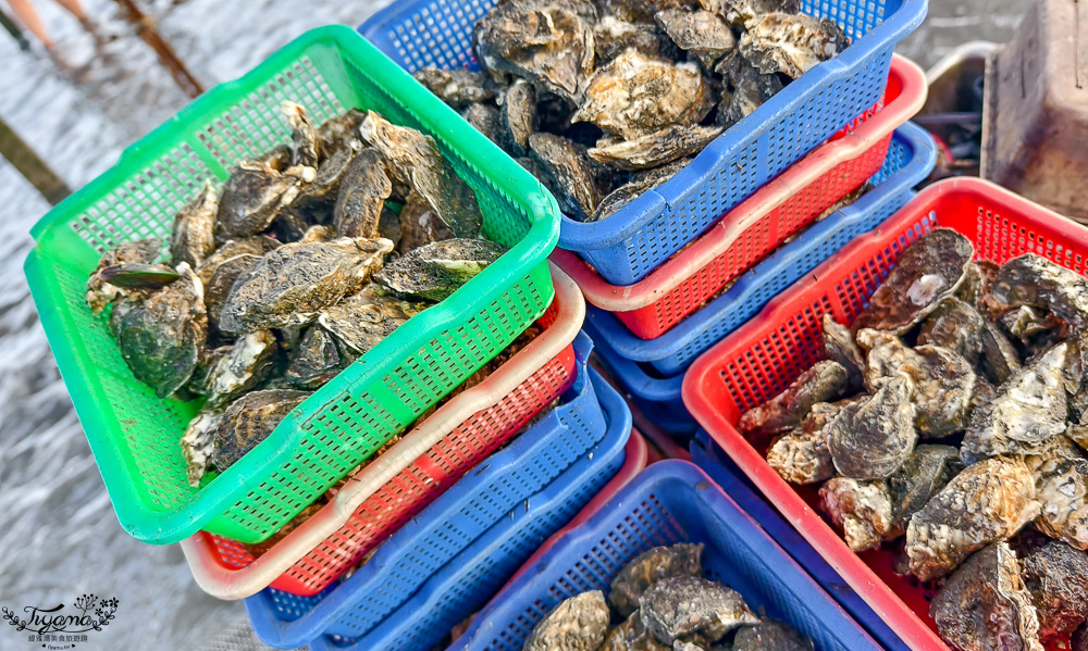 王功挖蛤烤蚵吃到飽！王功丫瑋觀光採蚵車，烤棚大又乾淨，收費大人200．小孩100．幼童免費，最超值的玩水活動 @緹雅瑪 美食旅遊趣