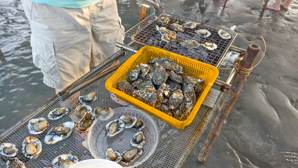 王功挖蛤烤蚵吃到飽！王功丫瑋觀光採蚵車，烤棚大又乾淨，收費大人200．小孩100．幼童免費，最超值的玩水活動 @緹雅瑪 美食旅遊趣
