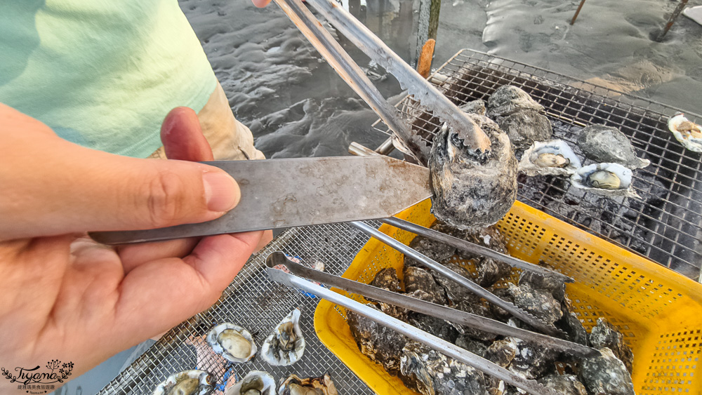 王功挖蛤烤蚵吃到飽！王功丫瑋觀光採蚵車，烤棚大又乾淨，收費大人200．小孩100．幼童免費，最超值的玩水活動 @緹雅瑪 美食旅遊趣
