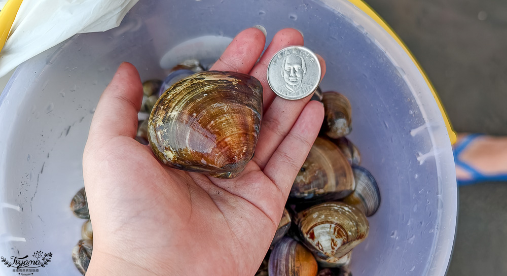 王功挖蛤烤蚵吃到飽！王功丫瑋觀光採蚵車，烤棚大又乾淨，收費大人200．小孩100．幼童免費，最超值的玩水活動 @緹雅瑪 美食旅遊趣