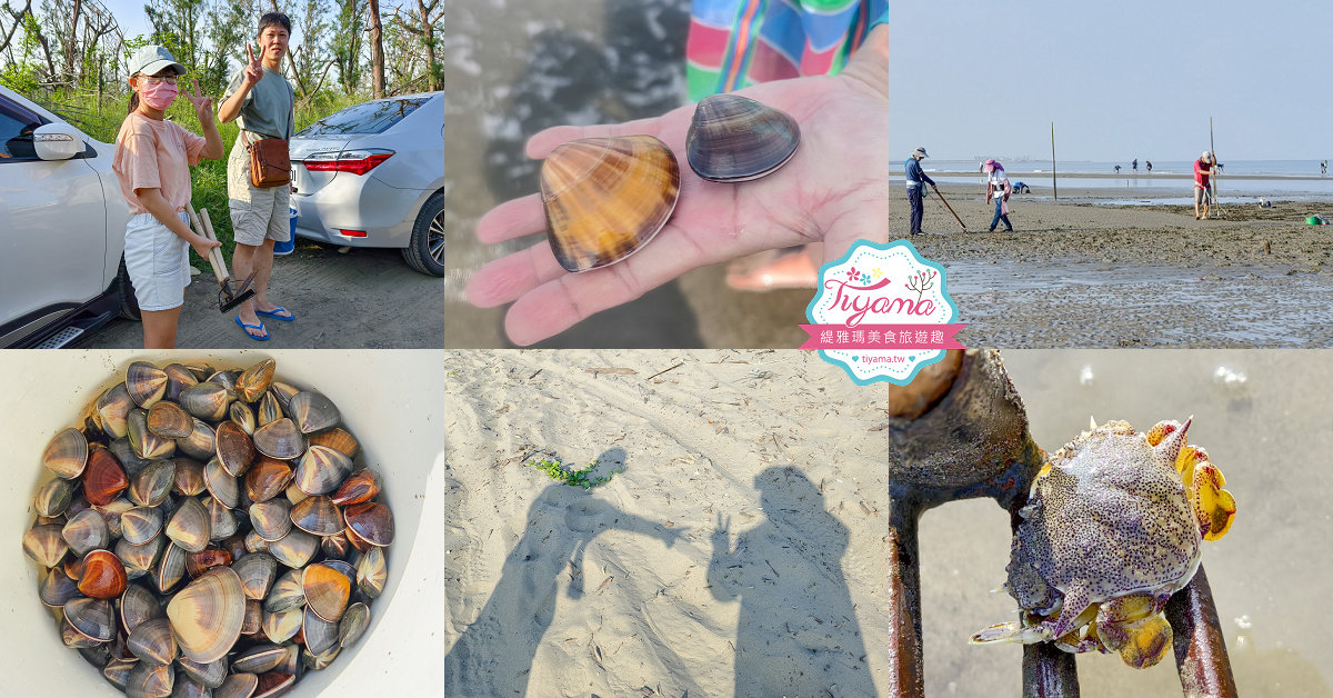 台南挖蛤蜊景點｜免費挖蛤蜊期間限定，台南北門雙春海岸線野生蛤蜊大爆發！！ @緹雅瑪 美食旅遊趣