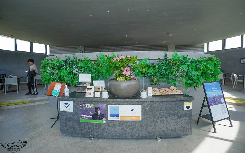 北海道頭大佛殿，在真駒内滝野霊園裡建築大師安藤忠雄的作品「洞窟中巨大佛殿」 @緹雅瑪 美食旅遊趣