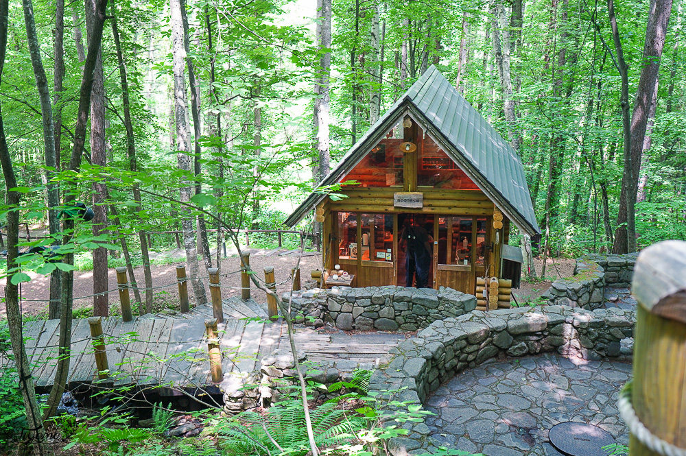 北海道童話小木屋村落「森林精靈露台」夢幻富良野景點，漫步在寧靜優美裡的秘境森林 @緹雅瑪 美食旅遊趣