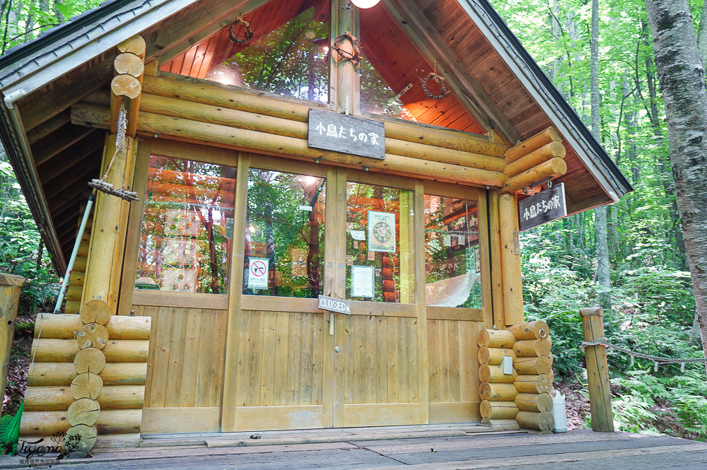 北海道童話小木屋村落「森林精靈露台」夢幻富良野景點，漫步在寧靜優美裡的秘境森林 @緹雅瑪 美食旅遊趣