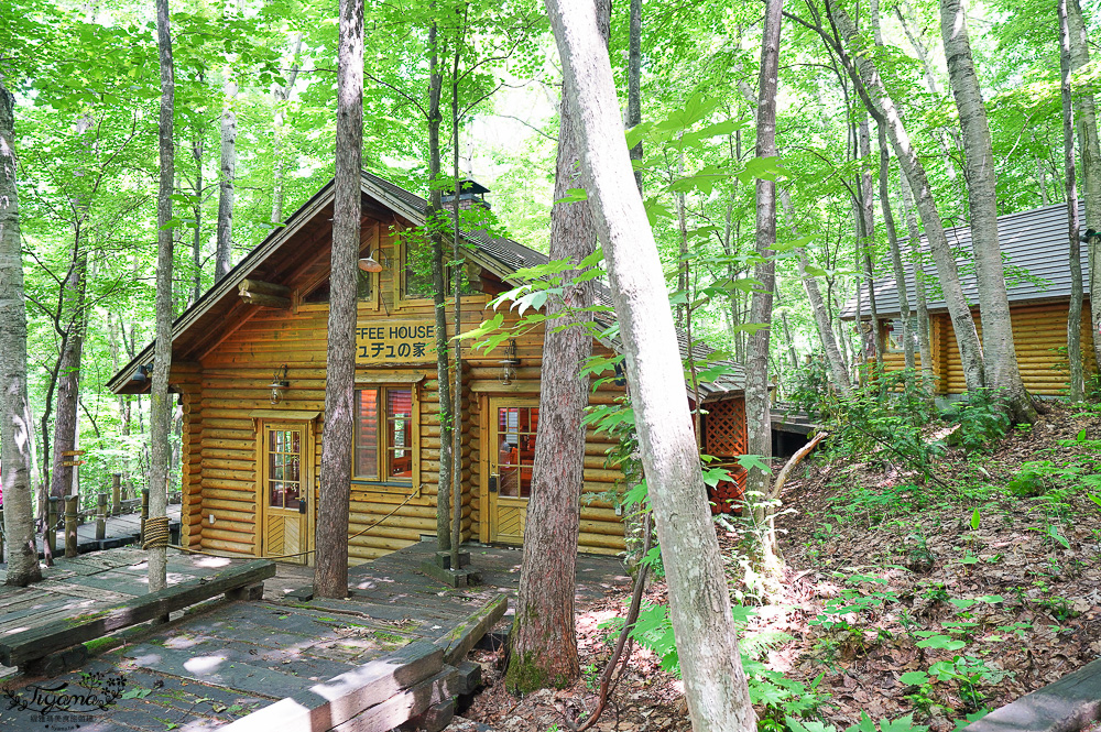 北海道童話小木屋村落「森林精靈露台」夢幻富良野景點，漫步在寧靜優美裡的秘境森林 @緹雅瑪 美食旅遊趣