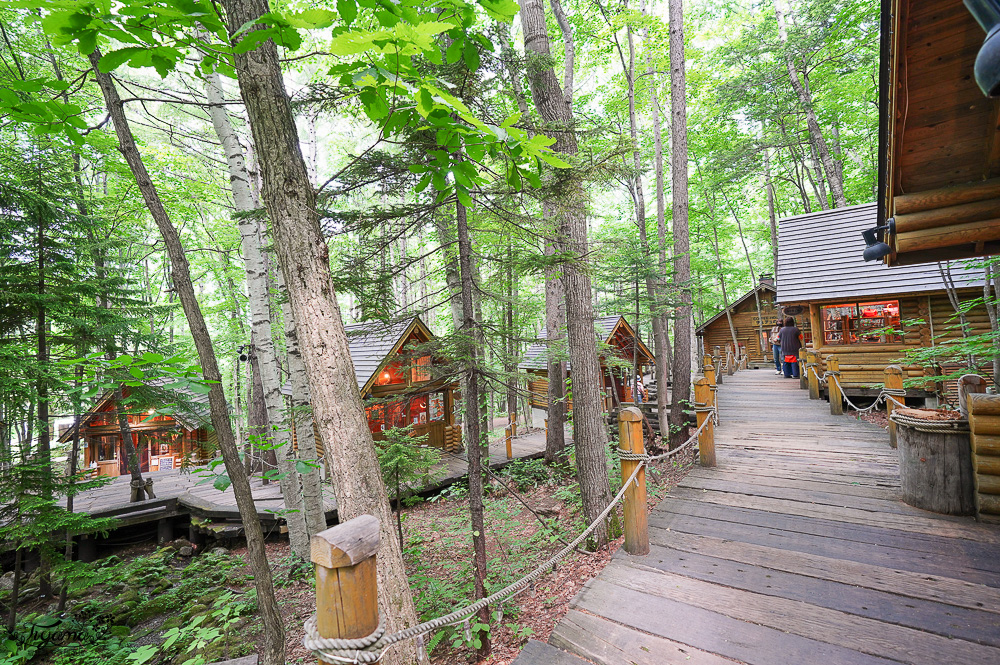 北海道自由行8天7夜.租車自駕行程：北海道星野度假村玩3天 + 美瑛、富良野、旭川、札幌、苫小牧玩透透！！ @緹雅瑪 美食旅遊趣