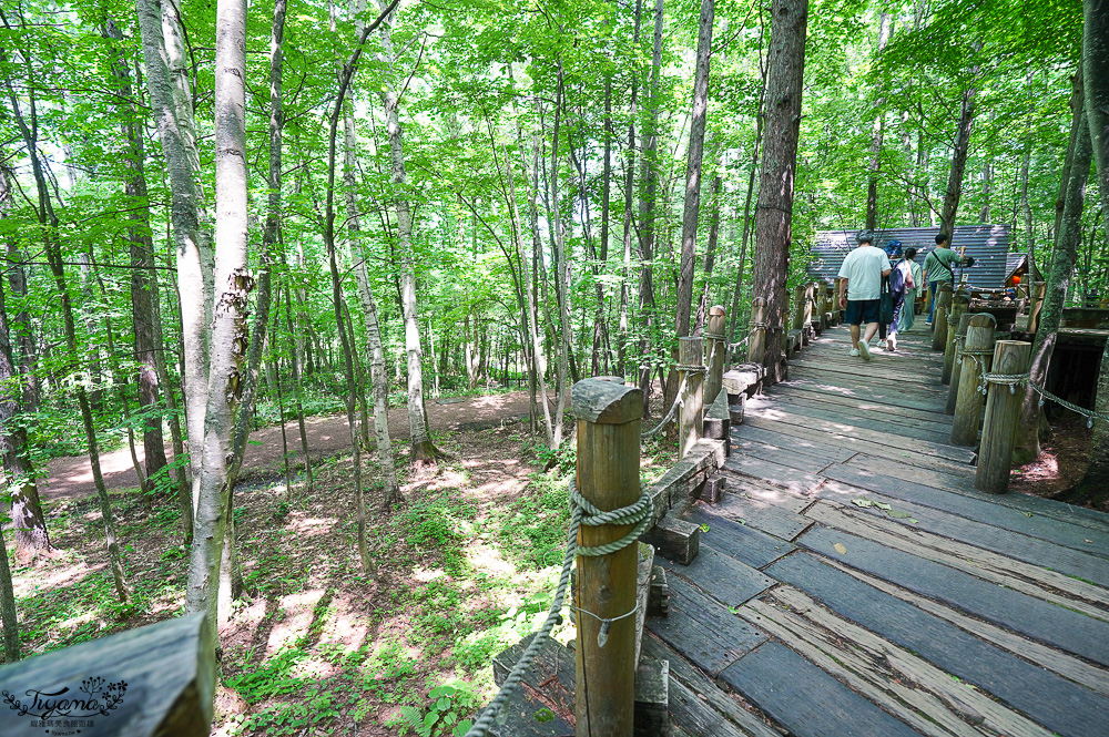 北海道童話小木屋村落「森林精靈露台」夢幻富良野景點，漫步在寧靜優美裡的秘境森林 @緹雅瑪 美食旅遊趣