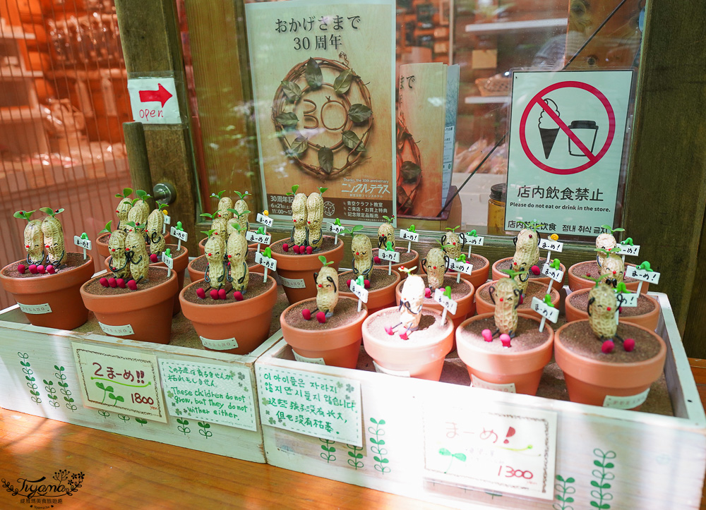 北海道童話小木屋村落「森林精靈露台」夢幻富良野景點，漫步在寧靜優美裡的秘境森林 @緹雅瑪 美食旅遊趣