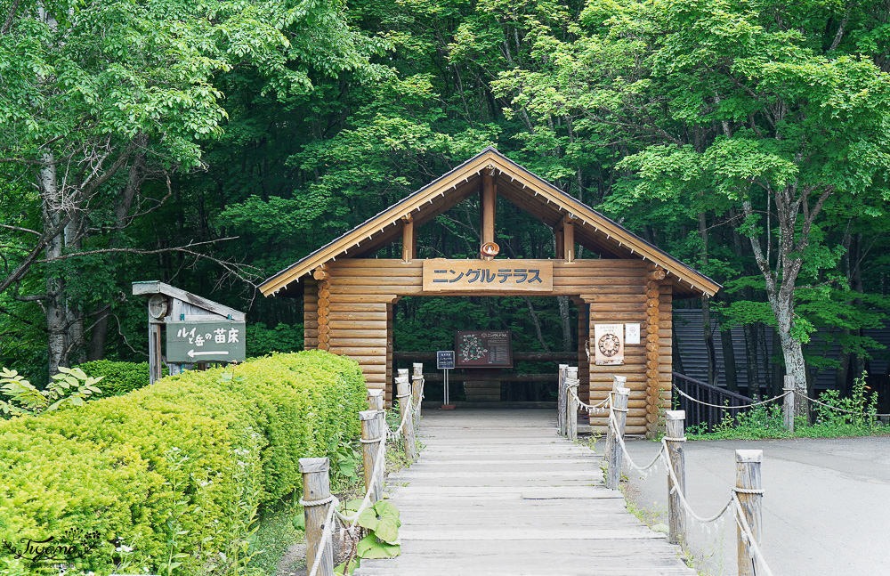 北海道富良野美食「森之時計｜珈琲 森の時計」森林精靈露台裡的幻夢咖啡廳~來杯DIY手磨豆的手沖咖啡，20週年森林劇院蛋糕 @緹雅瑪 美食旅遊趣