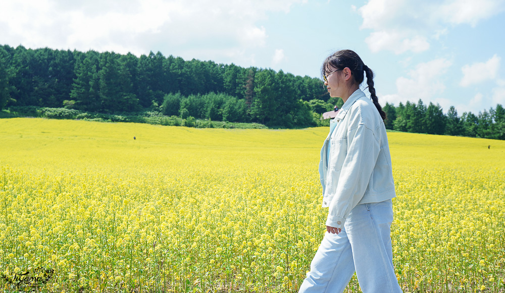 北海道富良野六花亭「坎帕納六花亭」，葡萄園與藍莓園裡的人氣甜點店 @緹雅瑪 美食旅遊趣