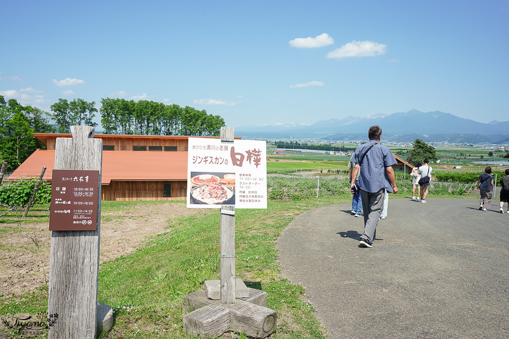 北海道富良野六花亭「坎帕納六花亭」，葡萄園與藍莓園裡的人氣甜點店 @緹雅瑪 美食旅遊趣