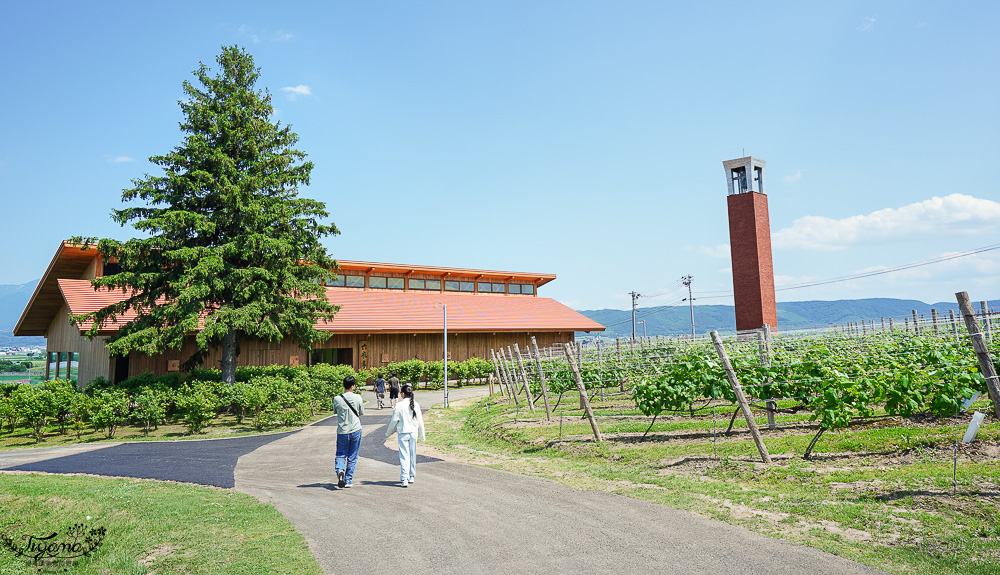 北海道富良野六花亭「坎帕納六花亭」，葡萄園與藍莓園裡的人氣甜點店 @緹雅瑪 美食旅遊趣