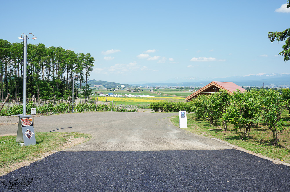 北海道富良野六花亭「坎帕納六花亭」，葡萄園與藍莓園裡的人氣甜點店 @緹雅瑪 美食旅遊趣