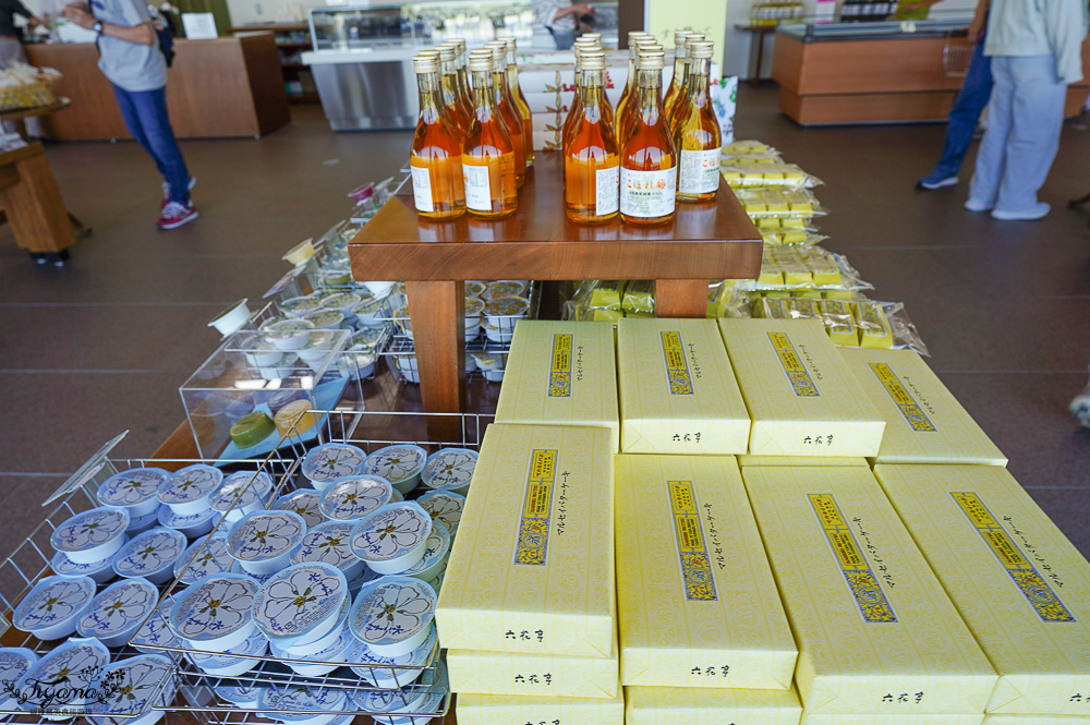 北海道富良野六花亭「坎帕納六花亭」，葡萄園與藍莓園裡的人氣甜點店 @緹雅瑪 美食旅遊趣