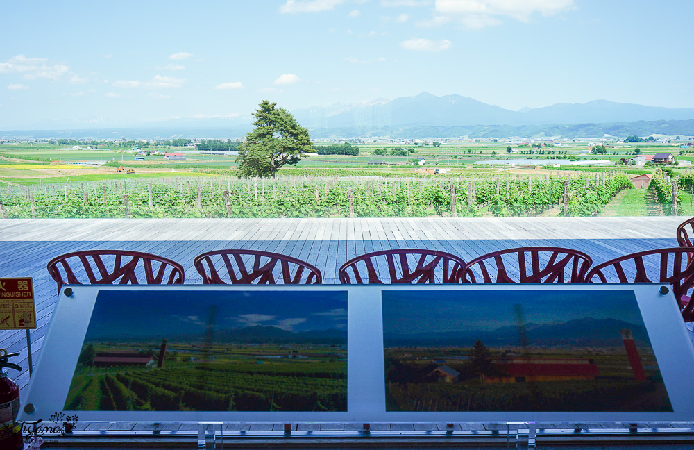 北海道富良野六花亭「坎帕納六花亭」，葡萄園與藍莓園裡的人氣甜點店 @緹雅瑪 美食旅遊趣