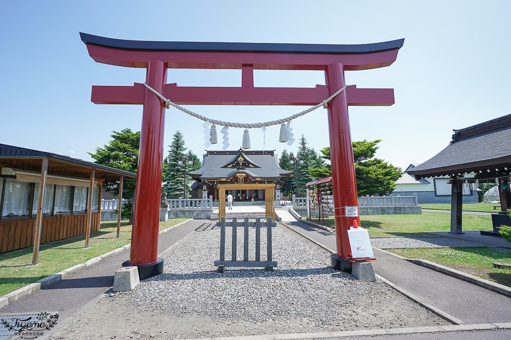 北海道美麗神社｜美瑛神社：祈求好姻緣的華麗神社，一粒米帶來萬倍財富-玉米蝦夷神籤，北海道15個蝦夷神籤之一 @緹雅瑪 美食旅遊趣