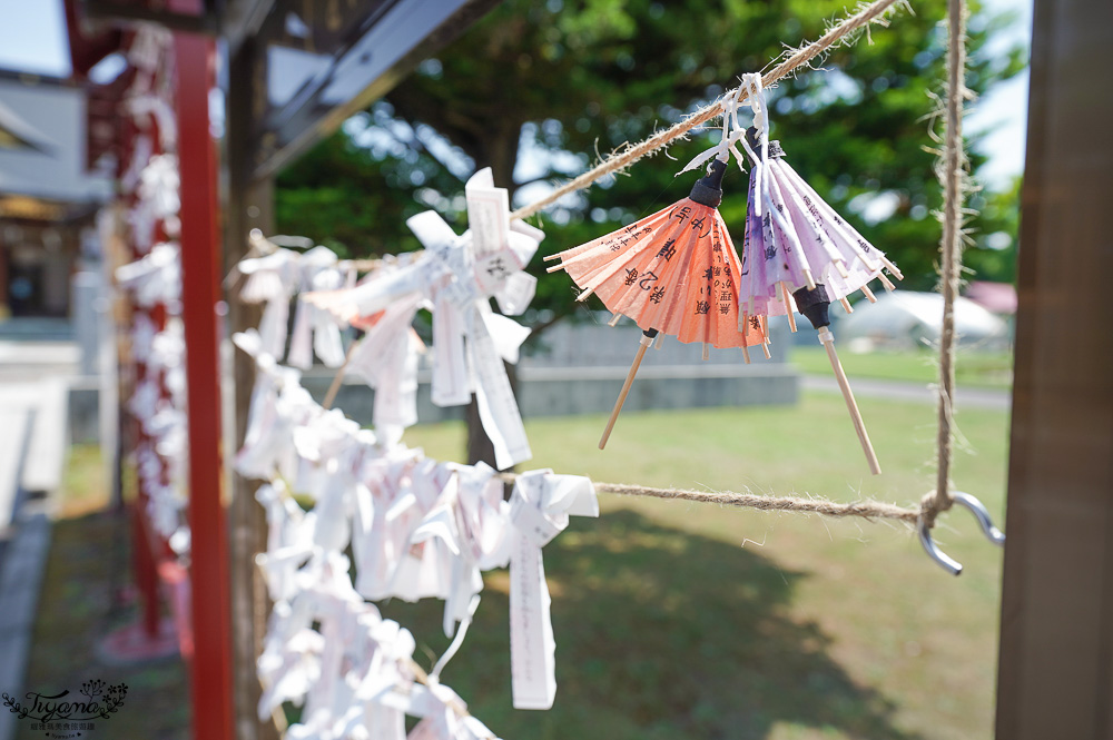 北海道美麗神社｜美瑛神社：祈求好姻緣的華麗神社，一粒米帶來萬倍財富-玉米蝦夷神籤，北海道15個蝦夷神籤之一 @緹雅瑪 美食旅遊趣