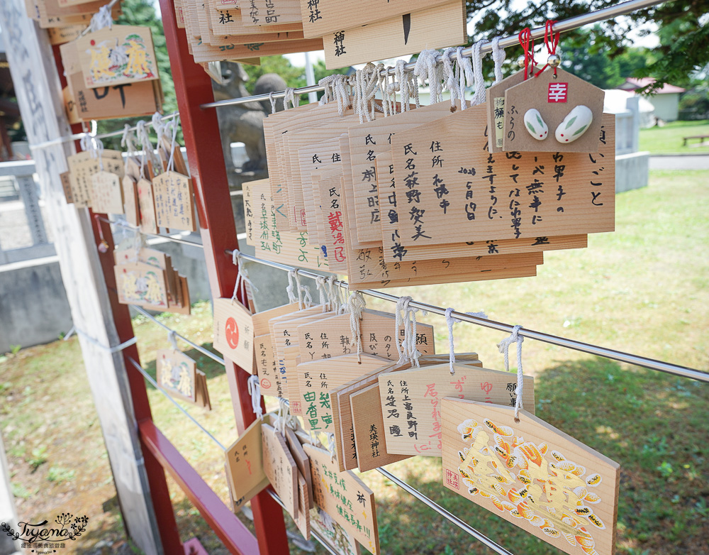 北海道美麗神社｜美瑛神社：祈求好姻緣的華麗神社，一粒米帶來萬倍財富-玉米蝦夷神籤，北海道15個蝦夷神籤之一 @緹雅瑪 美食旅遊趣