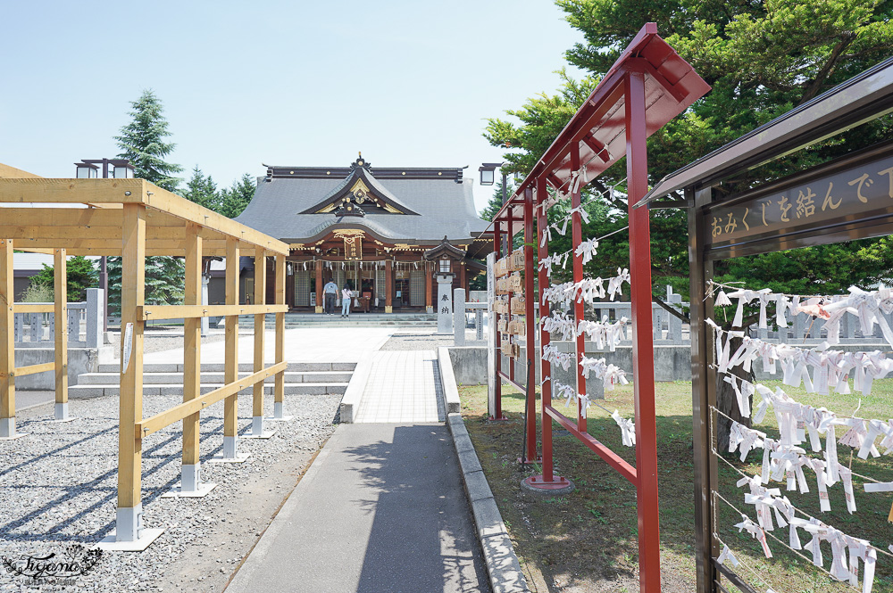 北海道美麗神社｜美瑛神社：祈求好姻緣的華麗神社，一粒米帶來萬倍財富-玉米蝦夷神籤，北海道15個蝦夷神籤之一 @緹雅瑪 美食旅遊趣