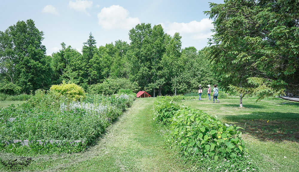 北海道美瑛童話風格烘焙甜點店「Ferme La Terre Biei 美瑛本店」，預約制法式鄉村風餐廳，品嚐美瑛小麥手工麵包、布丁、Ferme La Terre Biei伴手禮 @緹雅瑪 美食旅遊趣