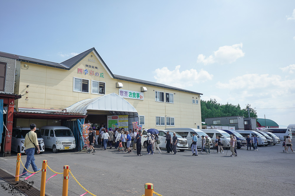 北道美瑛｜四季彩之丘：春夏季限定免入園費，遊園車NOROCCO號！10月~6月免門票 @緹雅瑪 美食旅遊趣