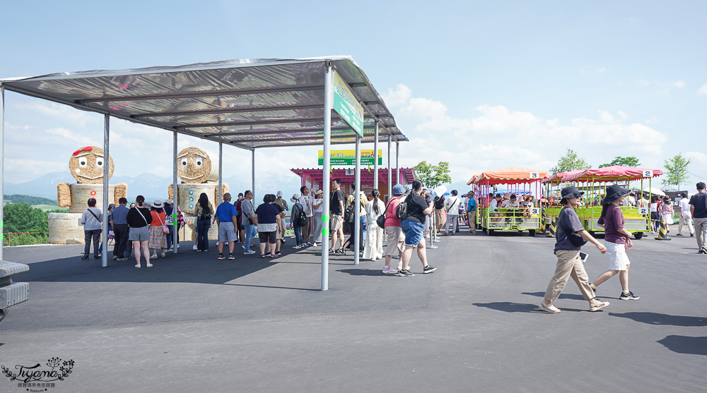 北道美瑛｜四季彩之丘：春夏季限定免入園費，遊園車NOROCCO號！10月~6月免門票 @緹雅瑪 美食旅遊趣