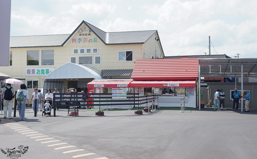 北道美瑛｜四季彩之丘：春夏季限定免入園費，遊園車NOROCCO號！10月~6月免門票 @緹雅瑪 美食旅遊趣