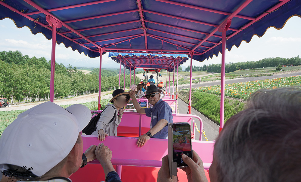 北道美瑛｜四季彩之丘：春夏季限定免入園費，遊園車NOROCCO號！10月~6月免門票 @緹雅瑪 美食旅遊趣
