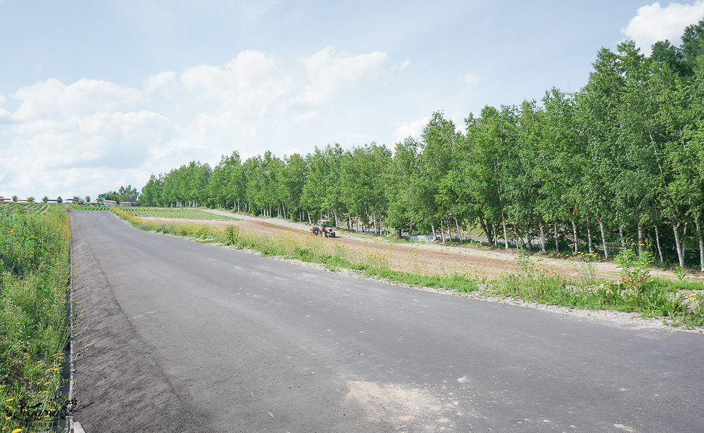 北道美瑛｜四季彩之丘：春夏季限定免入園費，遊園車NOROCCO號！10月~6月免門票 @緹雅瑪 美食旅遊趣