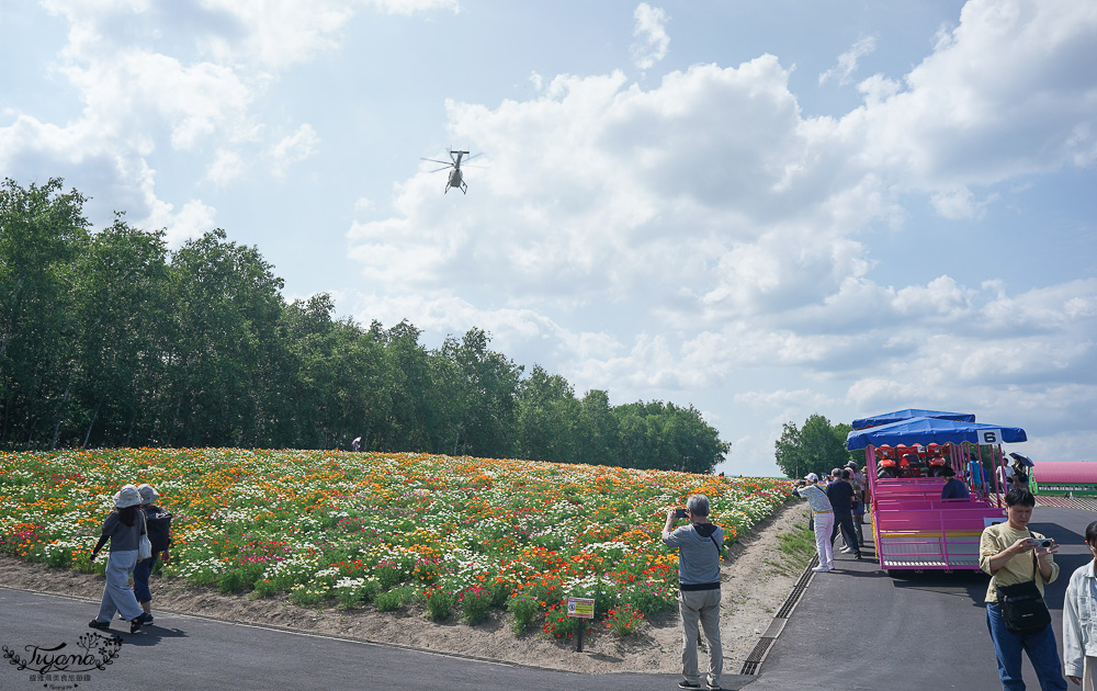 北海道美瑛一日遊！從美瑛一路玩到旭川，白金青池、美瑛神社、美瑛選果本店、Ferme La Terre Biei 美瑛本店、 四季彩之丘、成吉思汗大黑屋 旭川店 @緹雅瑪 美食旅遊趣