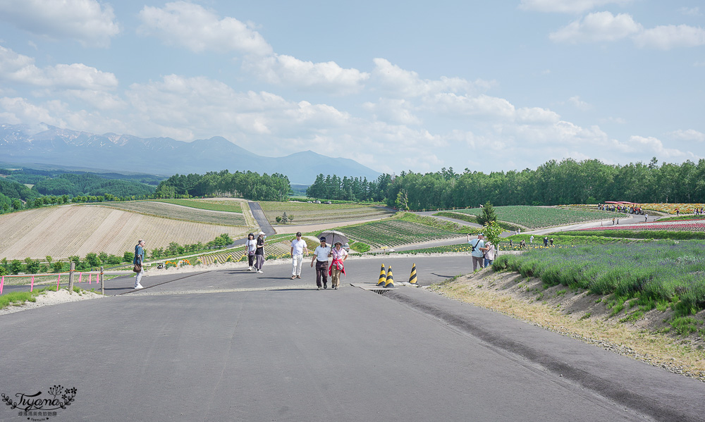 北道美瑛｜四季彩之丘：春夏季限定免入園費，遊園車NOROCCO號！10月~6月免門票 @緹雅瑪 美食旅遊趣