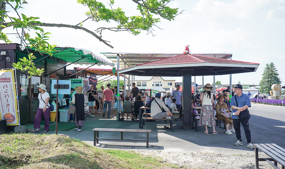 北道美瑛｜四季彩之丘：春夏季限定免入園費，遊園車NOROCCO號！10月~6月免門票 @緹雅瑪 美食旅遊趣