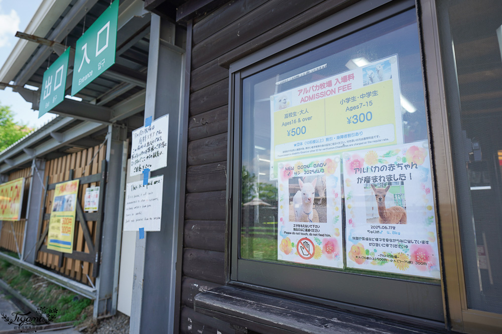 北道美瑛｜四季彩之丘：春夏季限定免入園費，遊園車NOROCCO號！10月~6月免門票 @緹雅瑪 美食旅遊趣