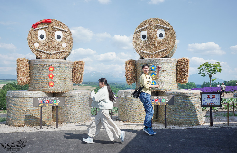 北道美瑛｜四季彩之丘：春夏季限定免入園費，遊園車NOROCCO號！10月~6月免門票 @緹雅瑪 美食旅遊趣