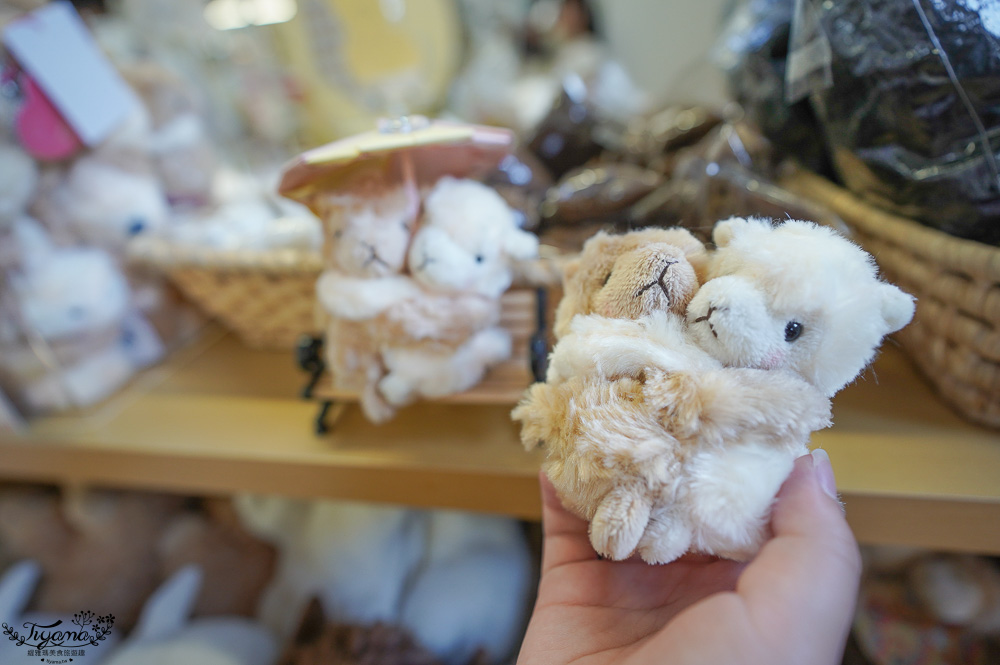 北道美瑛｜四季彩之丘：春夏季限定免入園費，遊園車NOROCCO號！10月~6月免門票 @緹雅瑪 美食旅遊趣