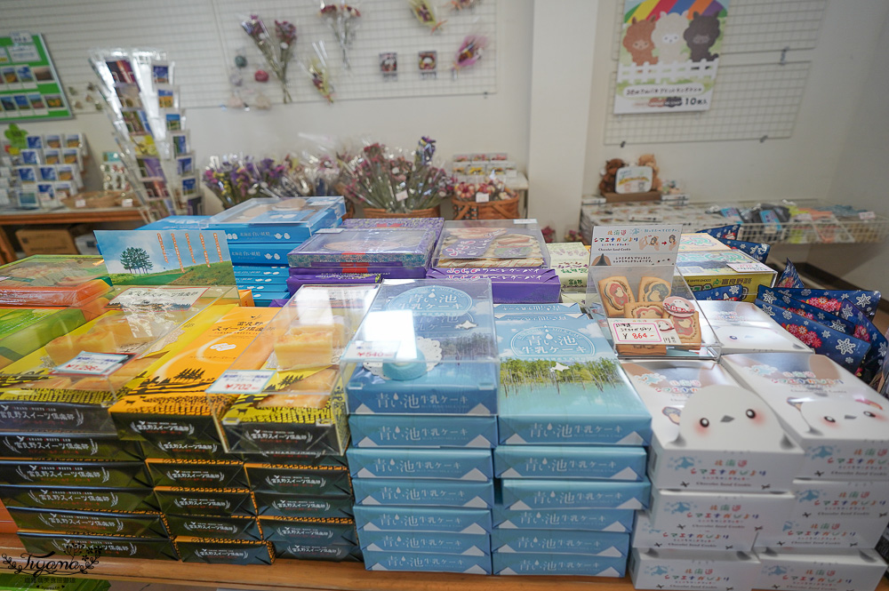 北道美瑛｜四季彩之丘：春夏季限定免入園費，遊園車NOROCCO號！10月~6月免門票 @緹雅瑪 美食旅遊趣