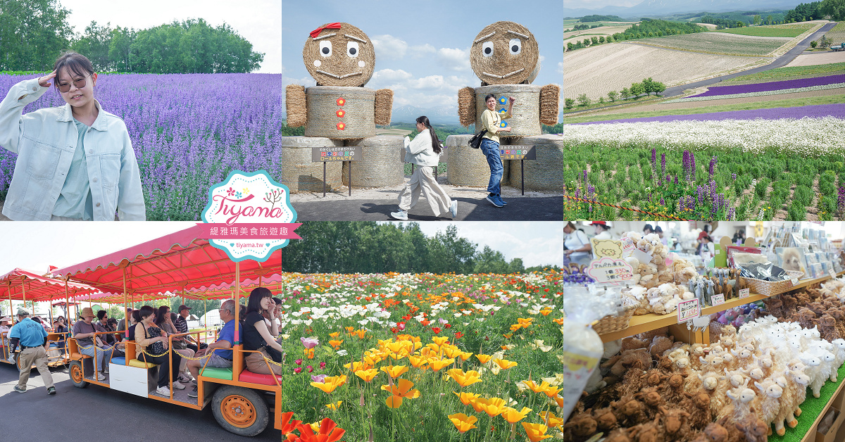 北海道自由行8天7夜.租車自駕行程：北海道星野度假村玩3天 + 美瑛、富良野、旭川、札幌、苫小牧玩透透！！ @緹雅瑪 美食旅遊趣