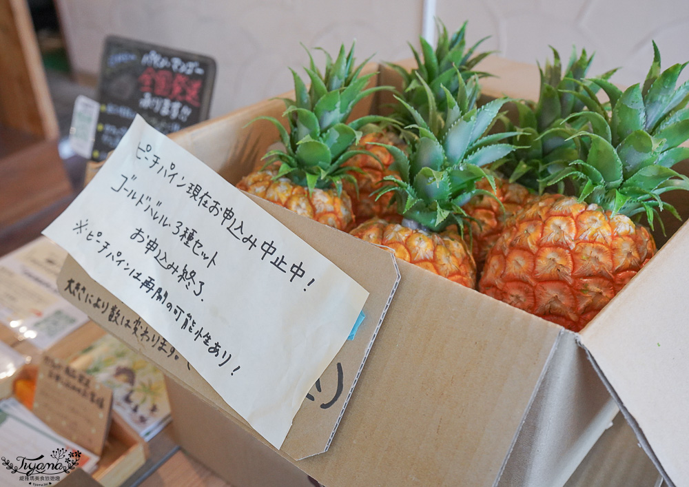 沖繩西表島咖啡廳「農園Cafe ファイミール」芒果芭菲，慢活小島的溫馨咖啡廳 @緹雅瑪 美食旅遊趣