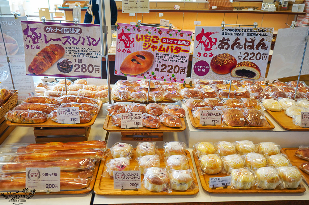 北海道三星蛋糕「藍靛果蛋糕 三星｜三星 ウトナイ店」長生不老果蛋糕，苫小牧道路休息站旁 @緹雅瑪 美食旅遊趣