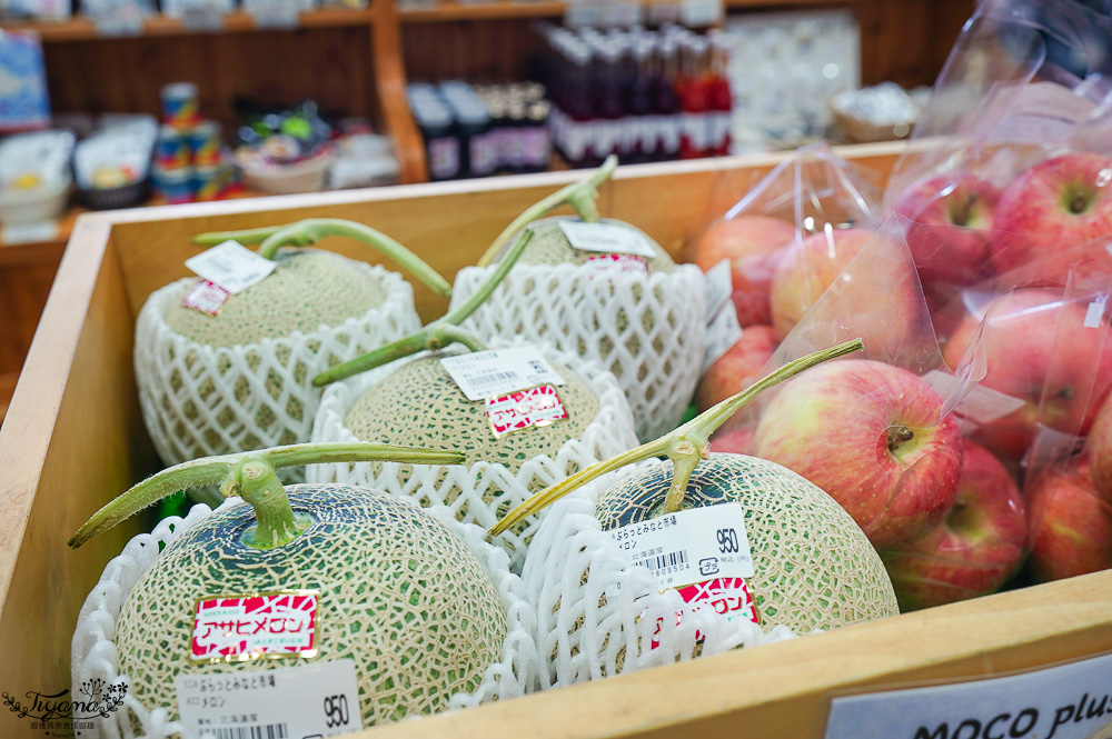 北海道苫小牧道路休息站｜宇多內湖展望台「道の駅ウトナイ湖 展望台」吃美食小吃、買土產水果 @緹雅瑪 美食旅遊趣