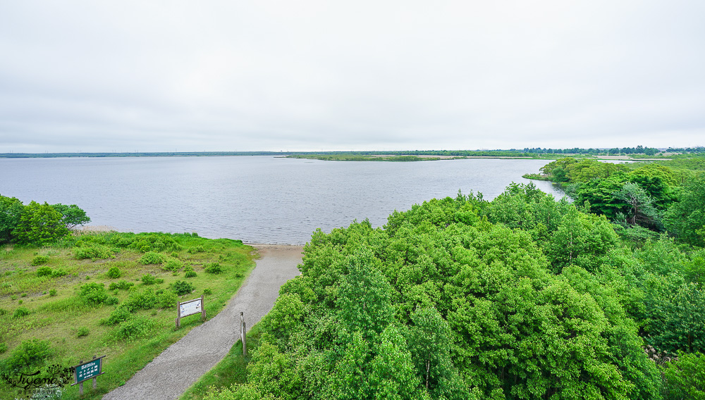 北海道苫小牧道路休息站｜宇多內湖展望台「道の駅ウトナイ湖 展望台」吃美食小吃、買土產水果 @緹雅瑪 美食旅遊趣