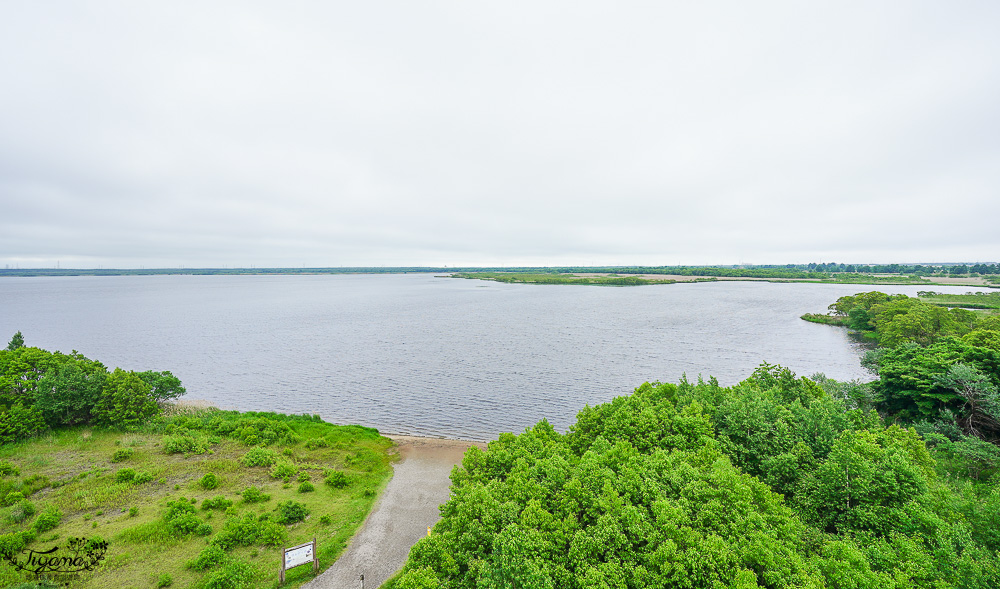 北海道苫小牧道路休息站｜宇多內湖展望台「道の駅ウトナイ湖 展望台」吃美食小吃、買土產水果 @緹雅瑪 美食旅遊趣