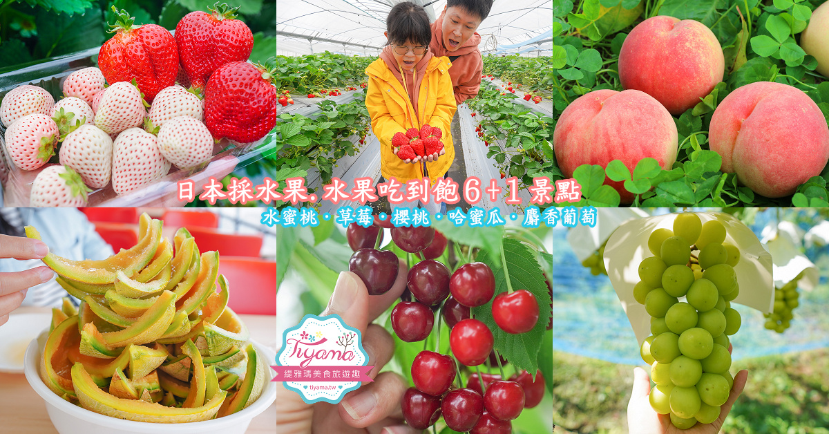 日本採水果吃到飽景點特輯！！收錄6+1個日本現採現吃水果&吃到飽景點，水蜜桃吃到飽、草莓吃到飽、櫻桃吃到飽、哈蜜瓜吃到飽、採麝香葡萄 @緹雅瑪 美食旅遊趣