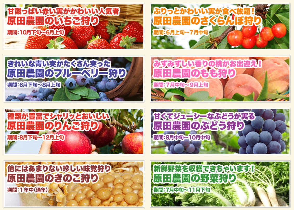 日本採水果吃到飽景點特輯！！收錄6+1個日本現採現吃水果&吃到飽景點，水蜜桃吃到飽、草莓吃到飽、櫻桃吃到飽、哈蜜瓜吃到飽、採麝香葡萄 @緹雅瑪 美食旅遊趣