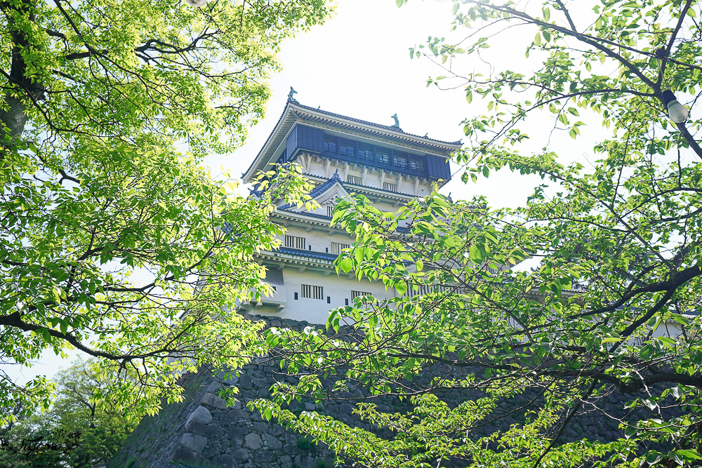 九州小倉城「小倉祇園 八坂神社」連接小倉城旁400多年歷史的豐前市守護神，全日本罕見景點「鳥居+小倉城」同框奇景 @緹雅瑪 美食旅遊趣
