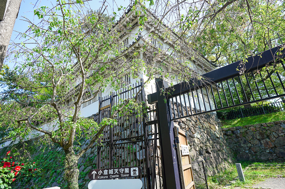 九州小倉城「小倉祇園 八坂神社」連接小倉城旁400多年歷史的豐前市守護神，全日本罕見景點「鳥居+小倉城」同框奇景 @緹雅瑪 美食旅遊趣