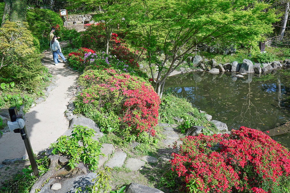 九州景點｜小倉城庭園：小倉城聯票一次玩2個景點最超值！！品味抹茶甜品，欣賞日本庭園 @緹雅瑪 美食旅遊趣