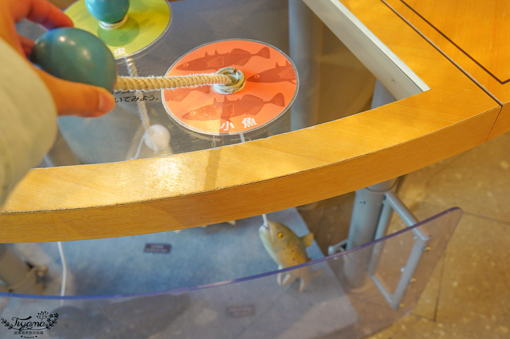 【北海道景點】支笏湖遊客中心｜山線鐵橋｜Patissier Labo｜支笏湖商店街 @緹雅瑪 美食旅遊趣